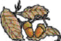 ǂ񂮂