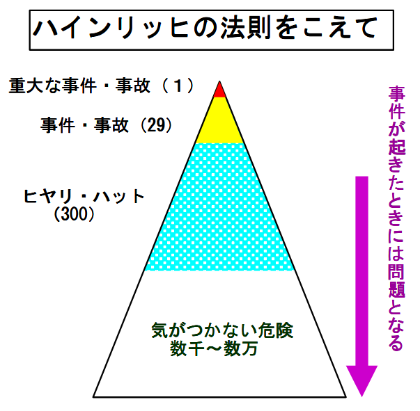 nCbq̖@āÂ͖̎肪g